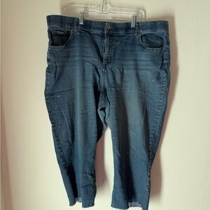 Terra & Sky Indigo Denim Pants